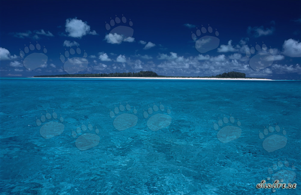 An island in the endless blue of the South seas