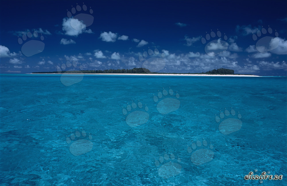 Una isla en el azul infinito del Pacífico Sur