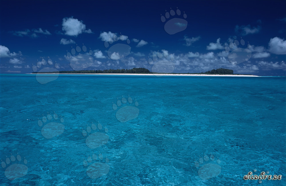 Un'isola nel blu infinito del Pacifico del Sud