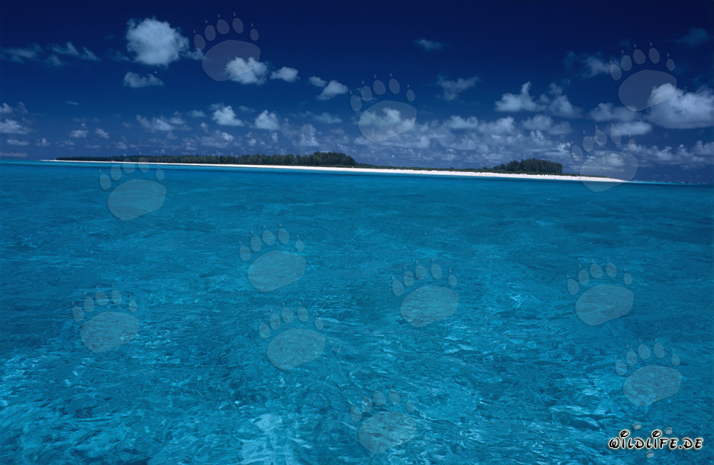 Isla idílica en la inmensidad azul del Pacífico