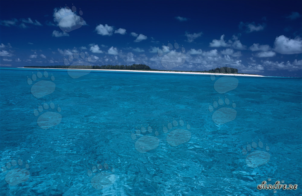 Isola idilliaca nell'immensità blu del Pacifico