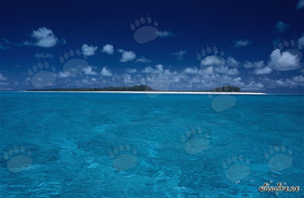 La fascinante beauté des petites îles du Midway Atoll