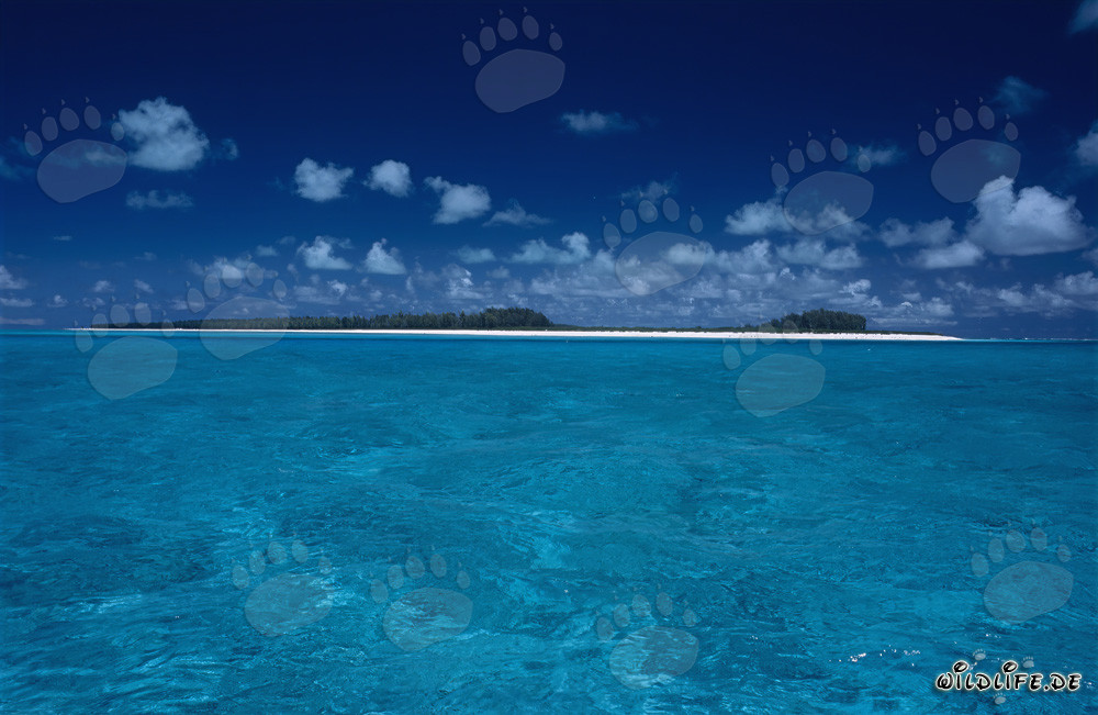 Fascinating Beauty of the Small Islands of Midway Atoll