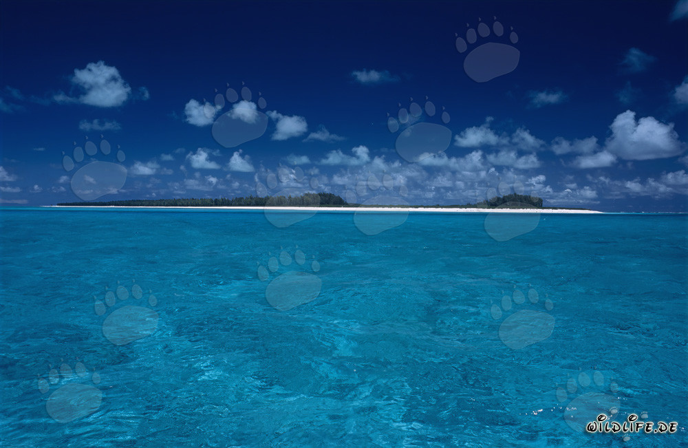 Faszinierende Schönheit der kleinen Inseln des Midway Atolls