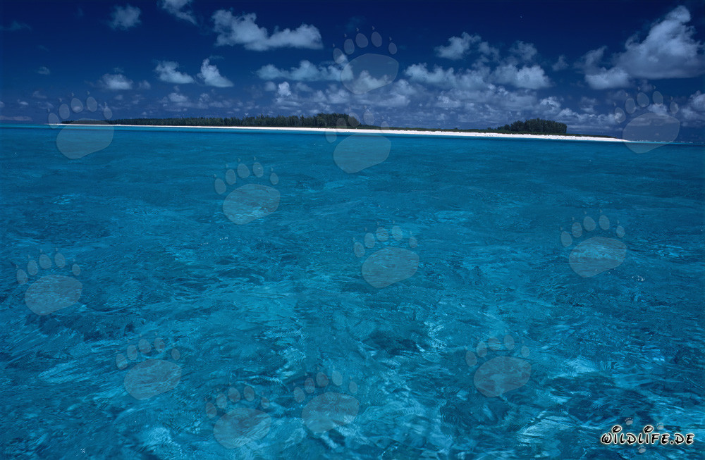 Idyllic South Sea Island with Turquoise Lagoon and Green Island