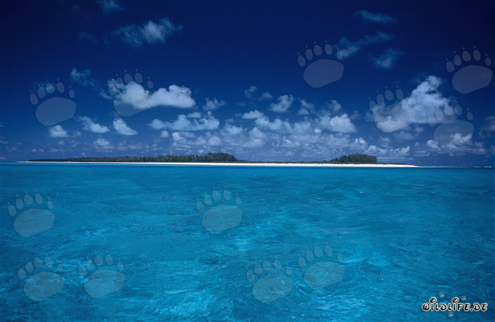 Île paradisiaque de la mer du Sud avec plage de sable blanc et eau turquoise