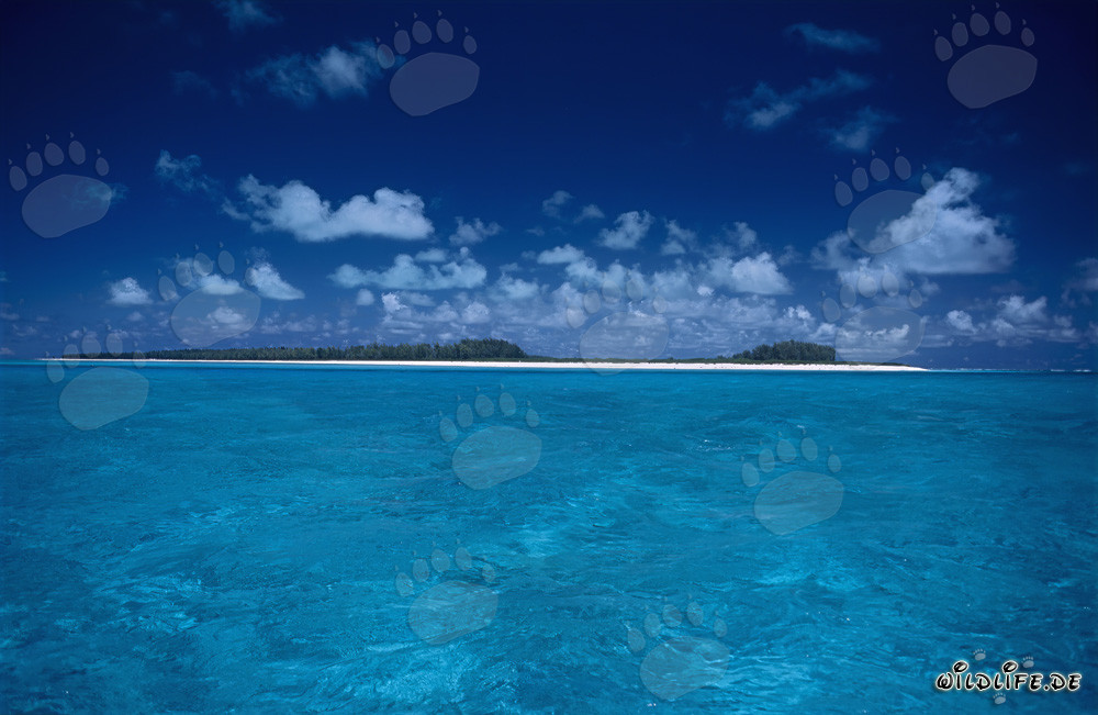 Idyllic South Sea Island with White Sandy Beach and Turquoise Blue Water