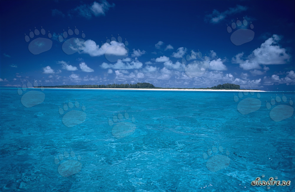 Dreamy South Seas Island with Crystal Clear Water and Endless Beaches