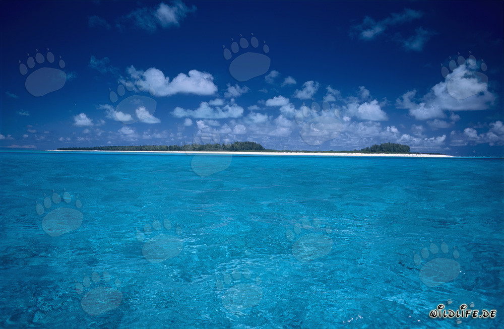 Isola da sogno nel Pacifico del Sud con acqua cristallina e spiagge infinite