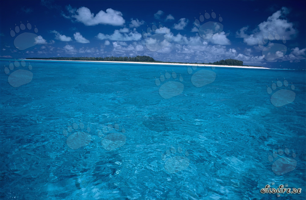 Faszinierendes Midway-Atoll: Lagune in der Südsee