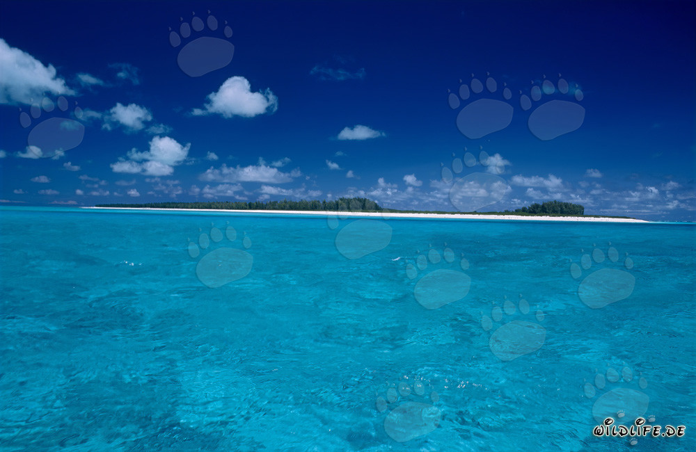 Île idyllique dans le Pacifique Sud avec lagune turquoise