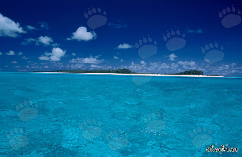 Idyllic Island in the South Seas with Turquoise Lagoon