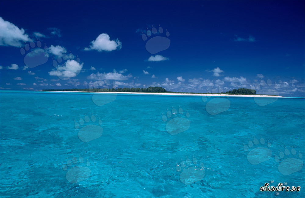 Isola idilliaca nel Pacifico del Sud con laguna turchese