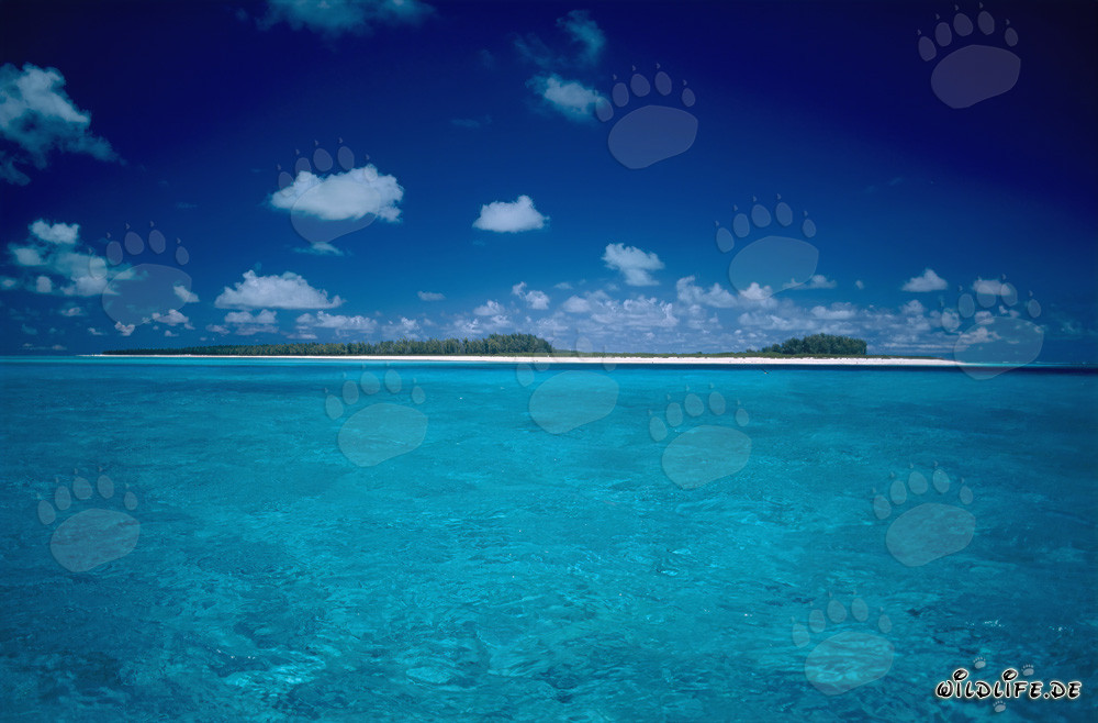 Traumhafte Südsee-Impressionen auf Midway Atoll