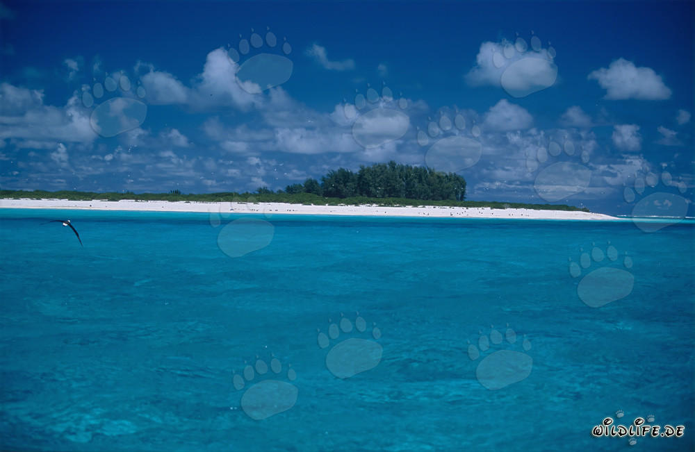 Paysage de la Polynésie avec lagune turquoise et île verte - Idylle dans le Pacifique