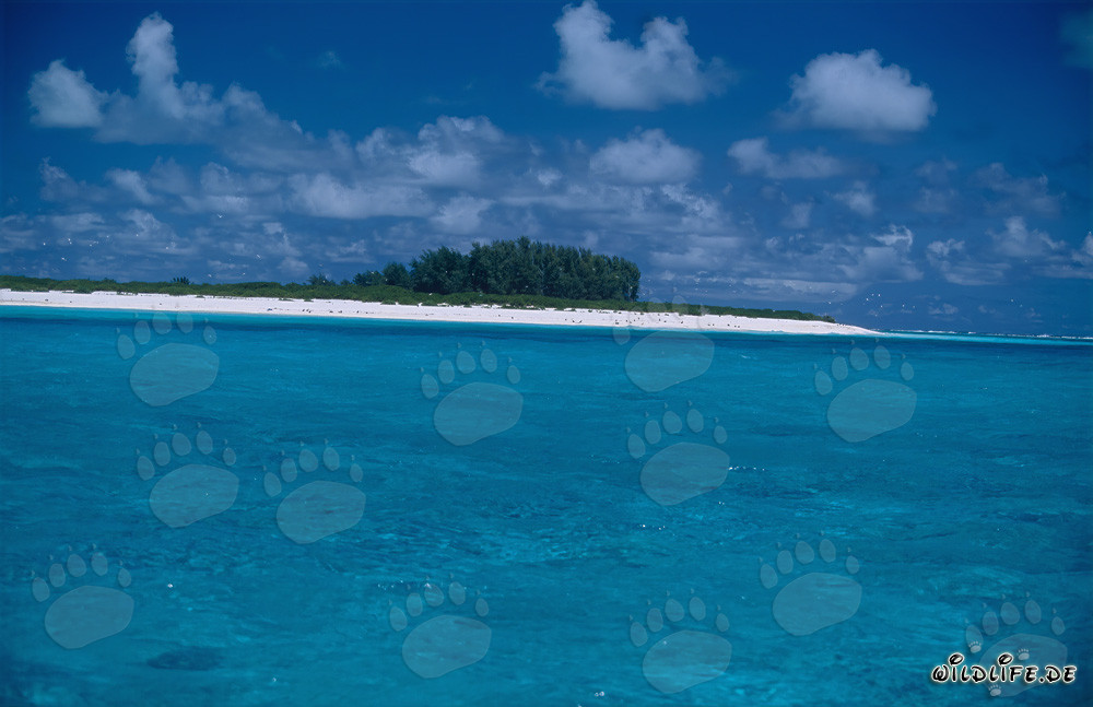 Isola del Pacifico del Sud con laguna mozzafiato e spiaggia di sabbia bianca