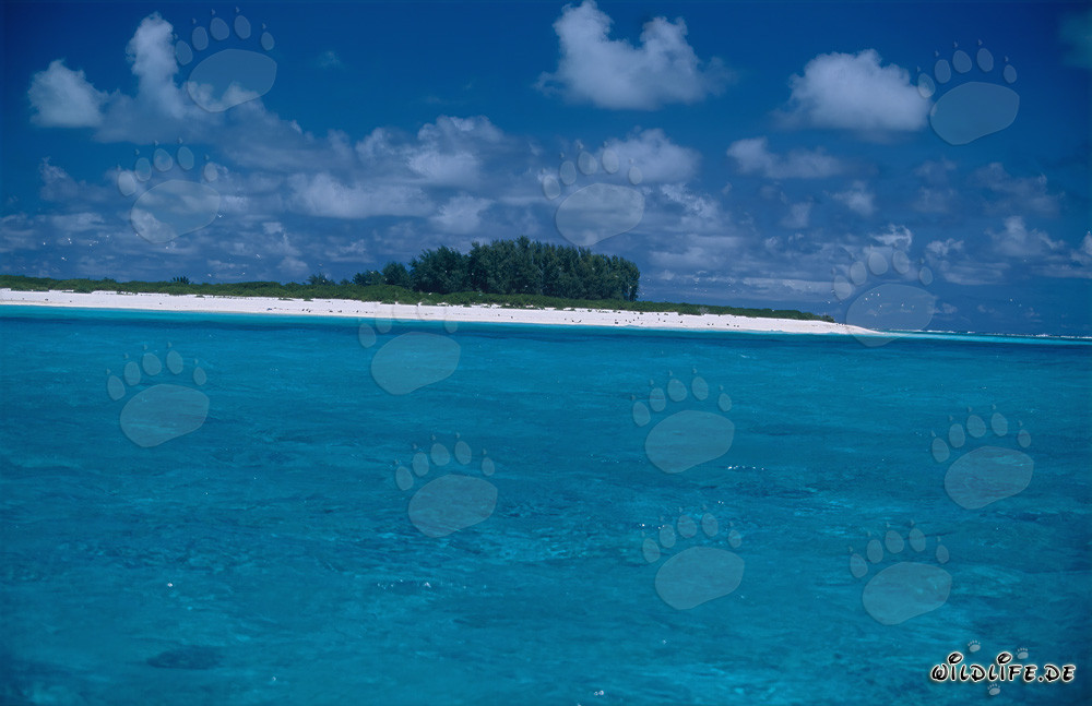 South Sea island with stunning lagoon and white sandy beach