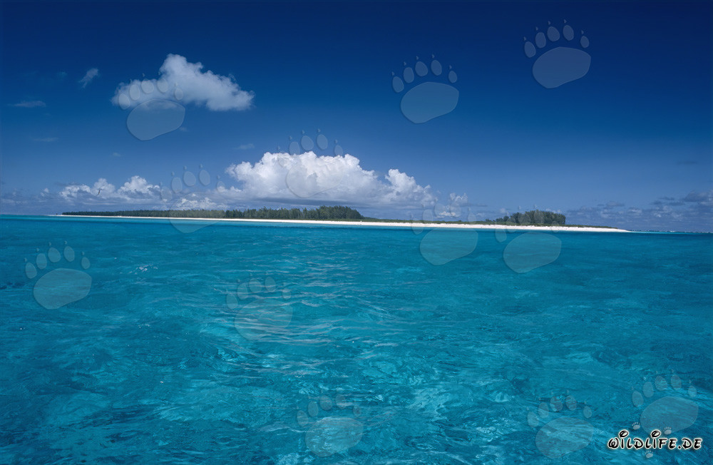 Clouds over a Midway Island