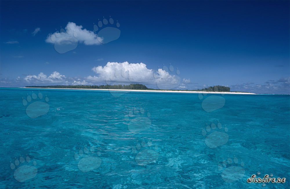 Nuvole su un'isola di Midway