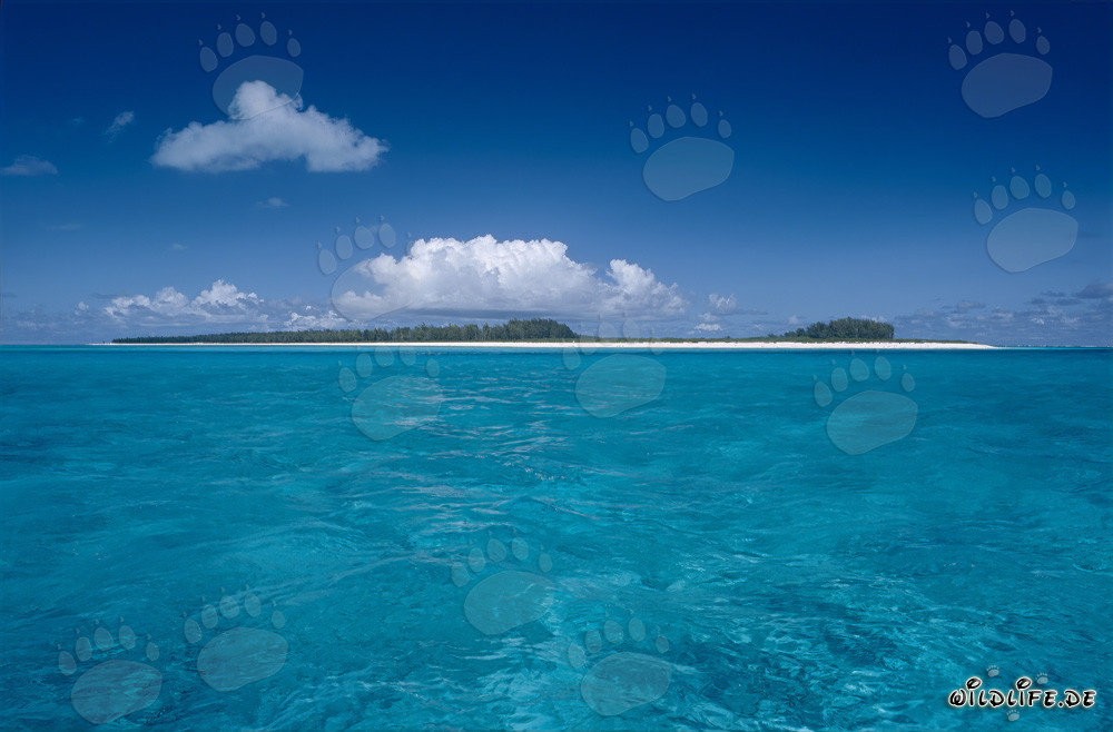 Isla paradisíaca del Pacífico con laguna pintoresca