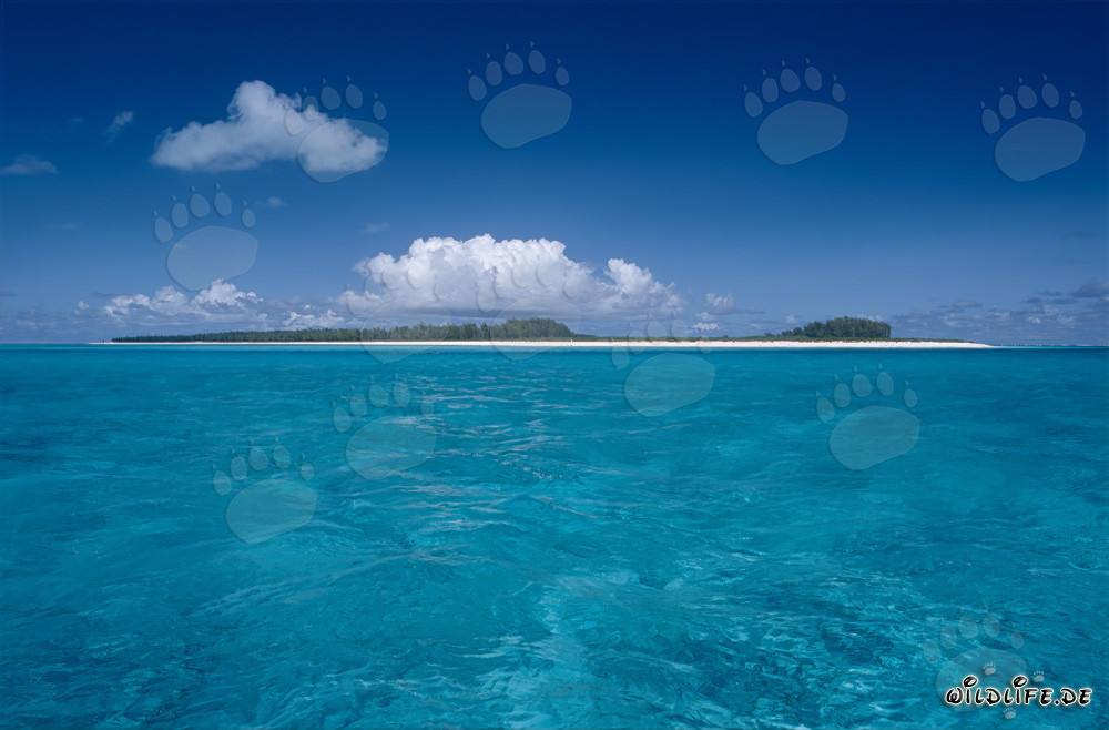 Dreamy South Sea: Island in the Pacific with Scenic Lagoon