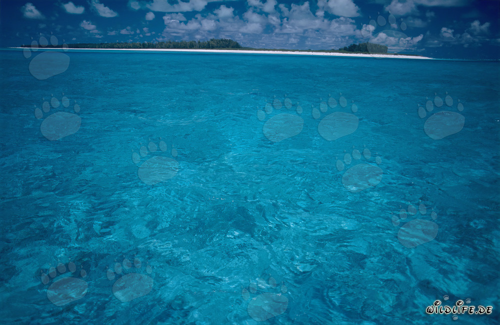 Türkisfarbene Südsee Lagune auf Midway Atoll, Hawaii, USA