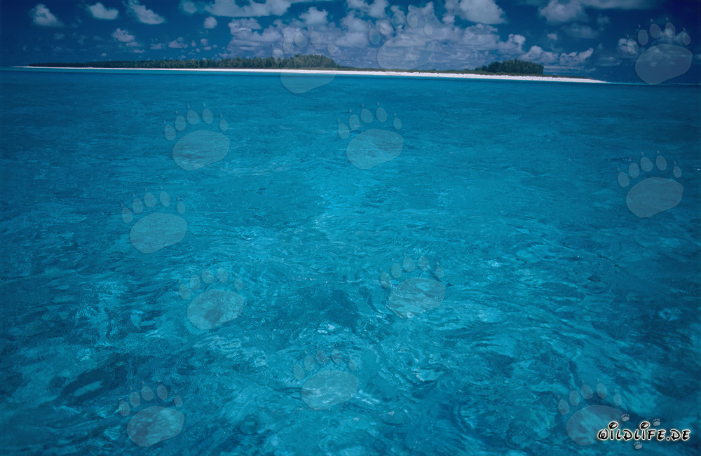 Turquoise South Sea Lagoon on Midway Atoll, Hawaii, USA