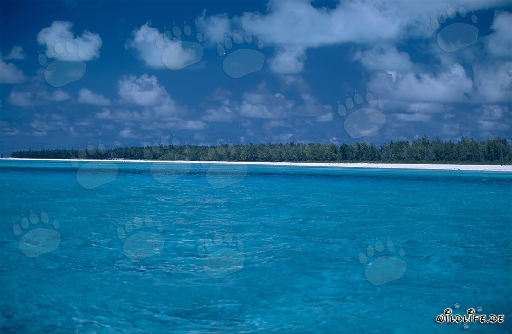 Idyllische Lagune auf Midway Island mit beeindruckendem Wolkenhimmel