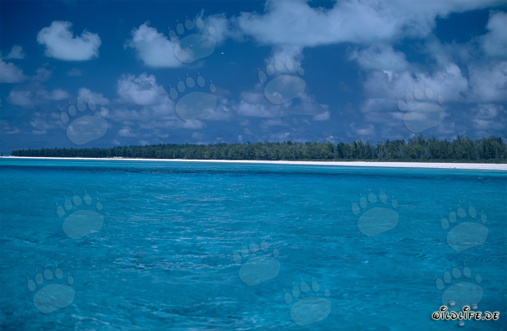 Idílico lago en la isla de Midway con un impresionante cielo nublado