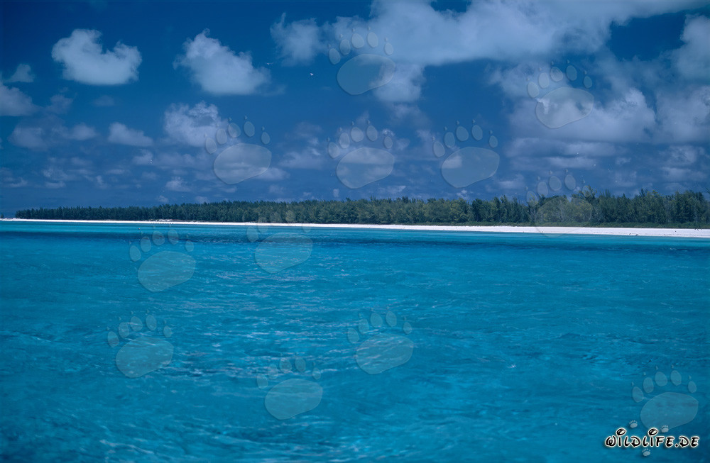 Idyllic lagoon on Midway Island with impressive clouds sky