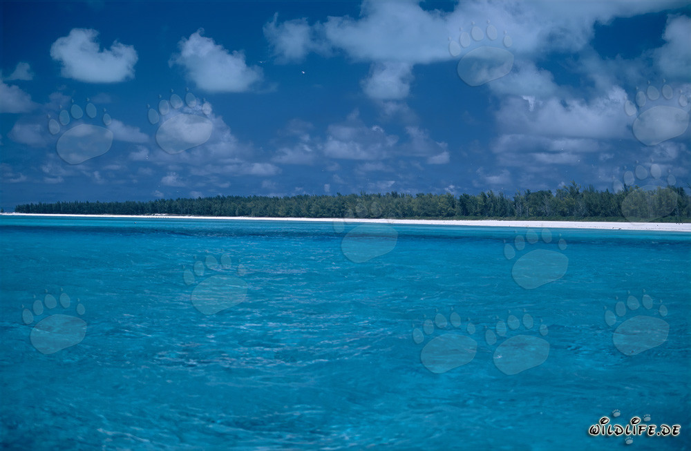 Idilliaco laguna sull'isola di Midway con un cielo mozzafiato