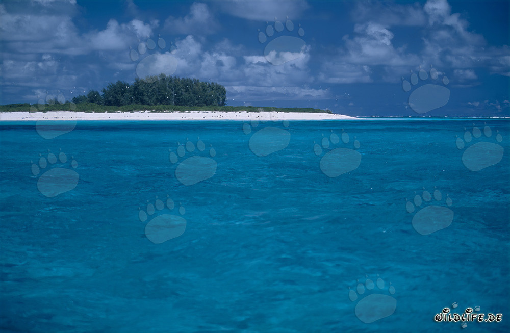 Isla idílica en el océano Pacífico