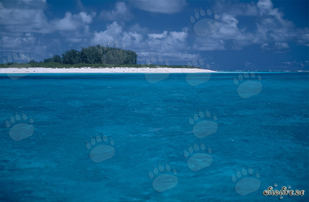 Isola idilliaca nell'oceano Pacifico