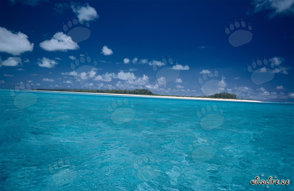 Île tropicale avec une lagune de rêve dans l'océan Pacifique