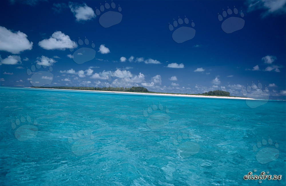 Isla tropical con una laguna de ensueño en el océano Pacífico