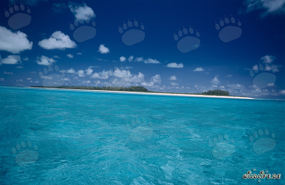 Isola tropicale con una laguna da sogno nell'oceano Pacifico