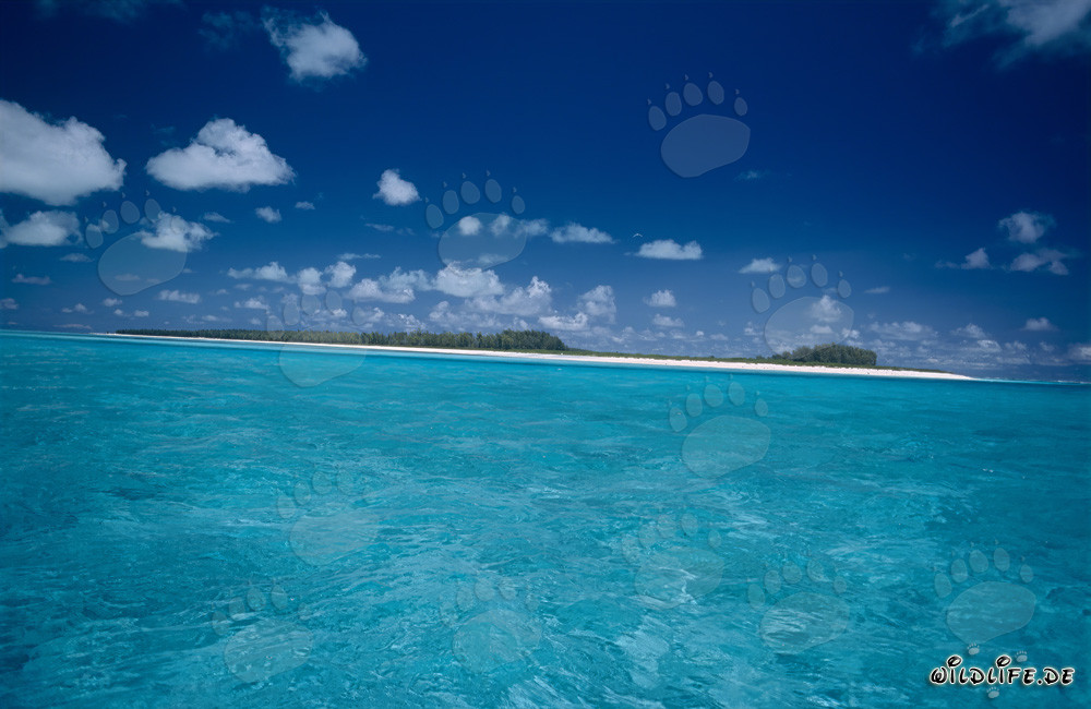 Tropical island with stunning lagoon in the Pacific Ocean