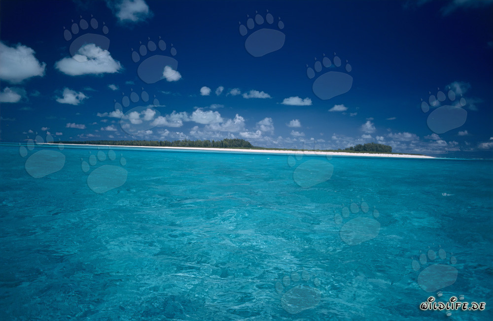 South Sea island in the endless blue of the ocean