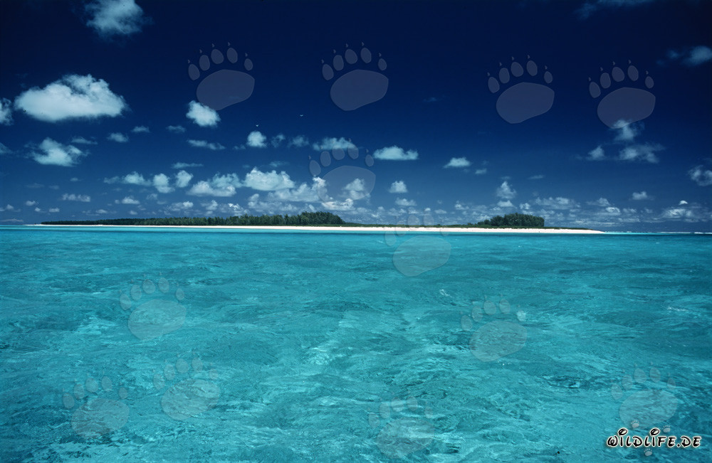 Scenario da sogno delle isole del Sud a Midway Atoll