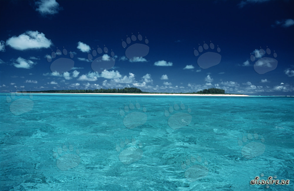 Traumhafte Südseekulisse auf Midway Atoll