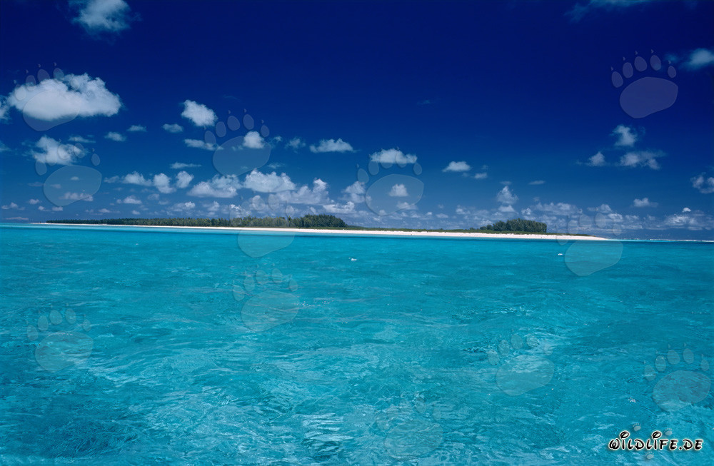 Laguna turchese sull'isola di Midway nelle isole hawaiane, Stati Uniti