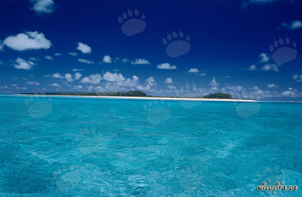 Laguna turquesa en la isla Midway en las Islas Hawaianas, EE. UU.