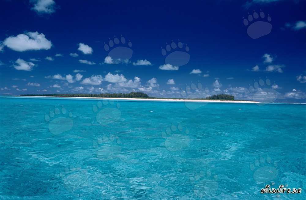 Turquoise Lagoon on Midway Island in the Hawaiian Islands, USA