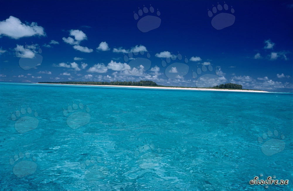 Île paradisiaque de la mer du Sud avec plage de sable blanc et mer turquoise