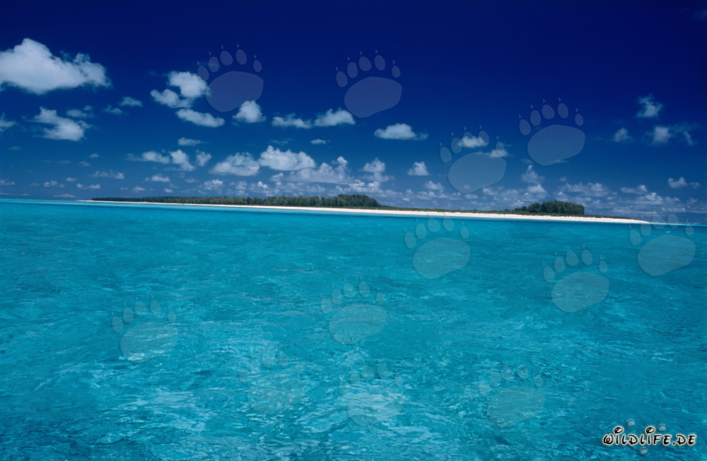 Isola paradisiaca del mare del Sud con spiaggia di sabbia bianca e mare turchese