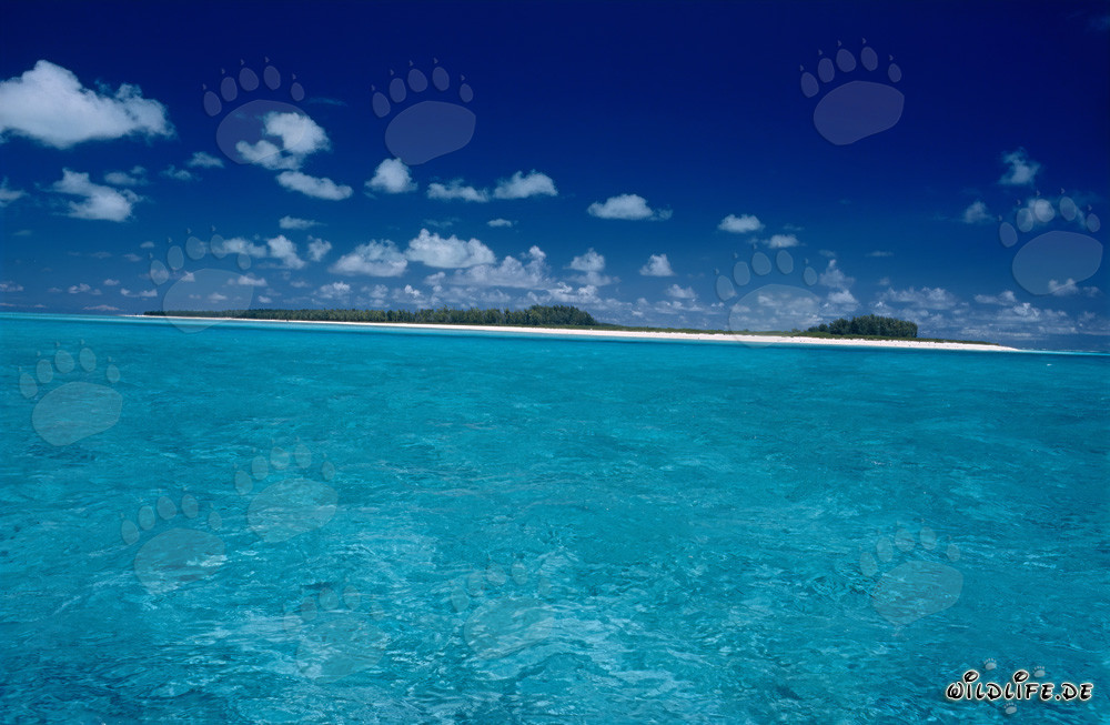 Traumhafte Südseeinsel mit weißem Sandstrand und türkisblauem Meer