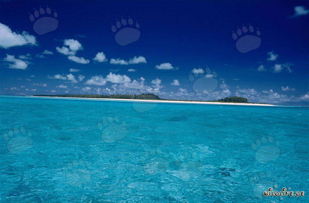 Tropical South Sea Atmosphere at Midway Atoll, Hawaii, USA