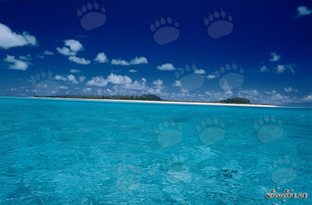 Tropische Südseestimmung auf Midway Atoll, Hawaii, USA