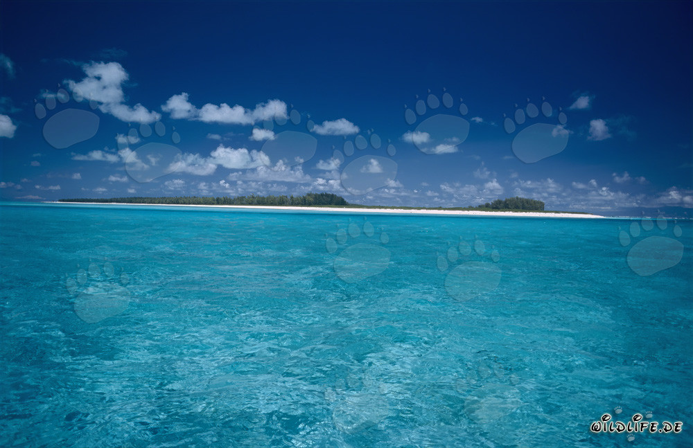 Idyllic lagoon on Midway Atoll under deep blue sky
