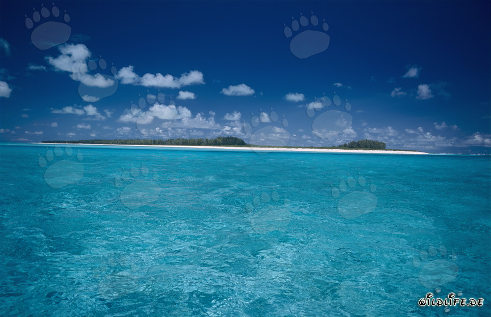 Idyllische Lagune auf Midway Atoll unter tiefblauem Himmel